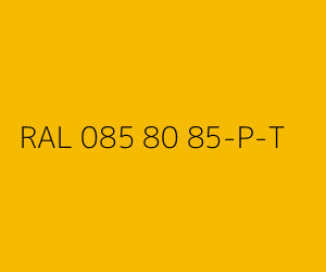 Kleur RAL 085 80 85-P-T 