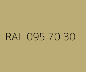 Kleur RAL 095 70 30 