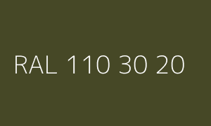 Kleur RAL 110 30 20