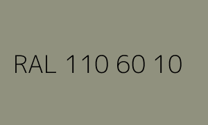 Kleur RAL 110 60 10