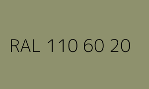 Kleur RAL 110 60 20
