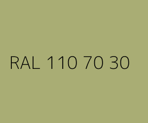 Kleur RAL 110 70 30 