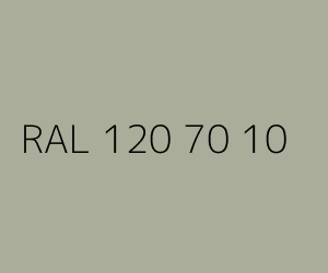 Kleur RAL 120 70 10 