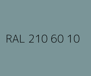 Kleur RAL 210 60 10 