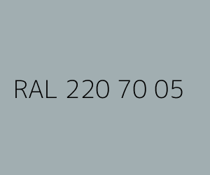 Kleur RAL 220 70 05 
