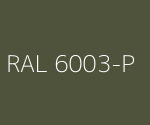 Kleur RAL 6003-P OLIJFGROEN