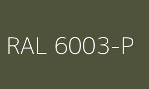 Kleur RAL 6003-P