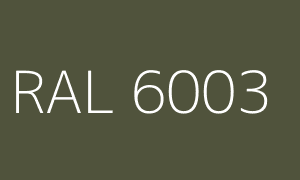 Kleur RAL 6003