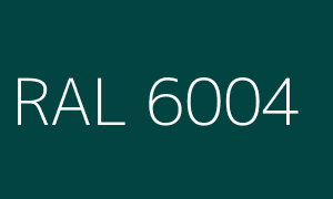 Kleur RAL 6004