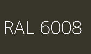 Kleur RAL 6008