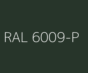 Kleur RAL 6009-P DENNENGROEN