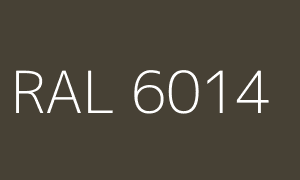 Kleur RAL 6014