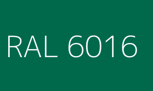 Kleur RAL 6016