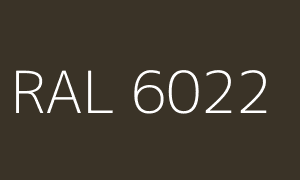 Kleur RAL 6022